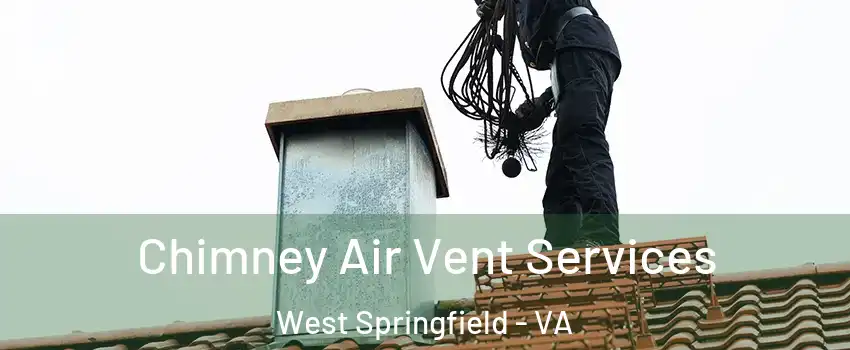  Chimney Air Vent Services West Springfield - VA