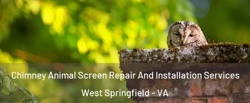 Chimney Animal Screen Repair And Installation Services West Springfield - VA