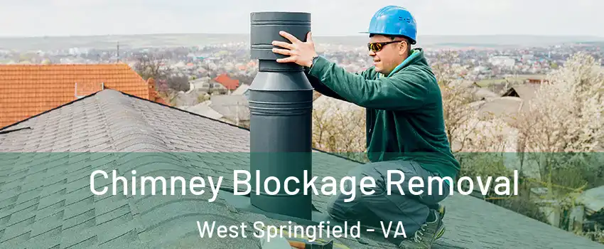  Chimney Blockage Removal West Springfield - VA
