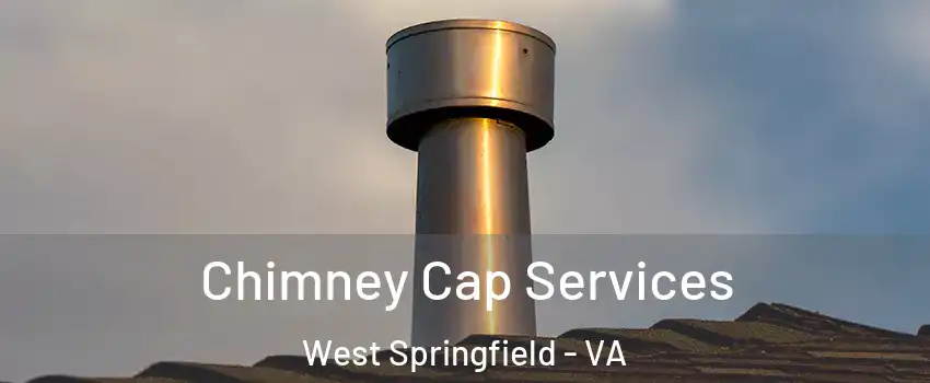  Chimney Cap Services West Springfield - VA
