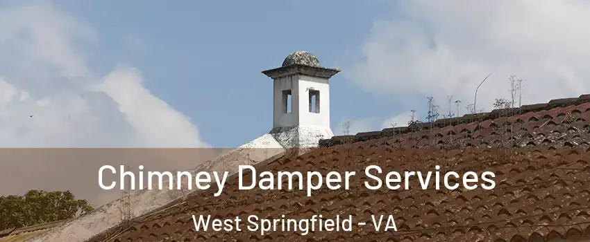  Chimney Damper Services West Springfield - VA