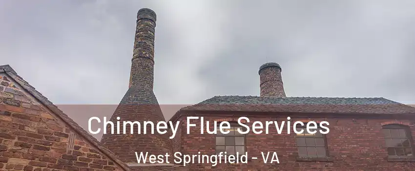  Chimney Flue Services West Springfield - VA