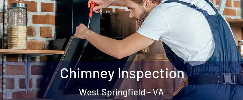  Chimney Inspection West Springfield - VA