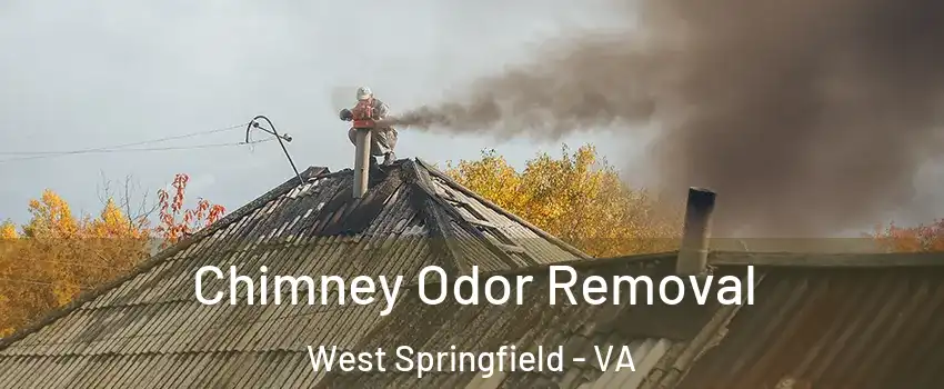  Chimney Odor Removal West Springfield - VA