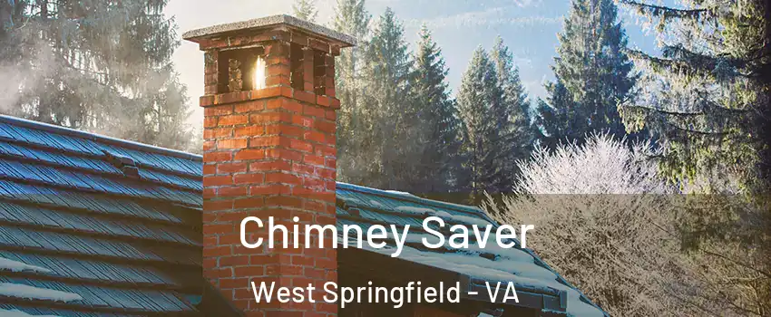  Chimney Saver West Springfield - VA