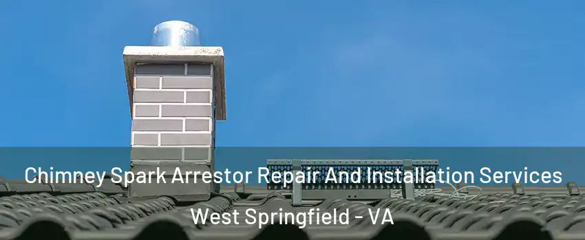 Chimney Spark Arrestor Repair And Installation Services West Springfield - VA
