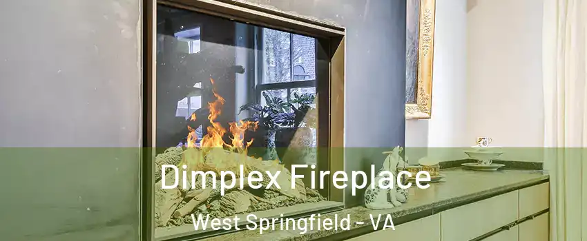  Dimplex Fireplace West Springfield - VA