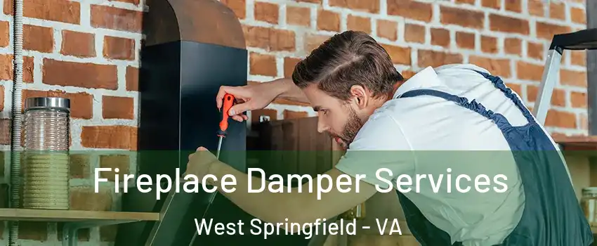  Fireplace Damper Services West Springfield - VA