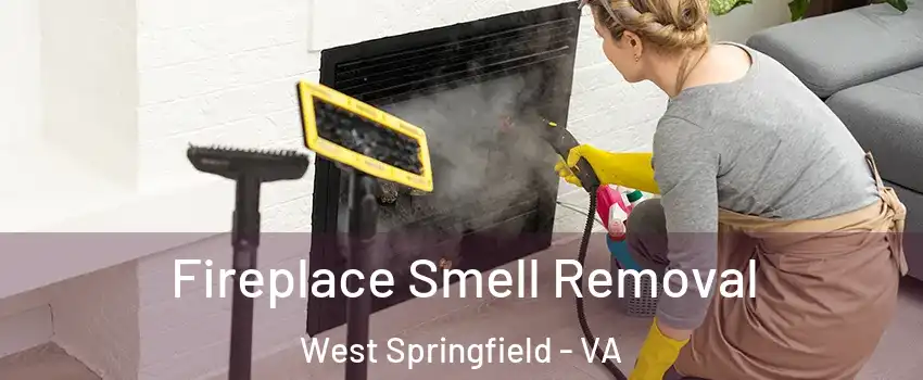  Fireplace Smell Removal West Springfield - VA