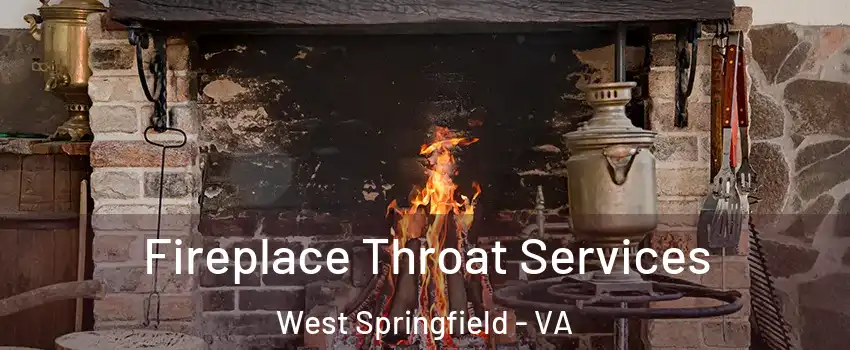  Fireplace Throat Services West Springfield - VA