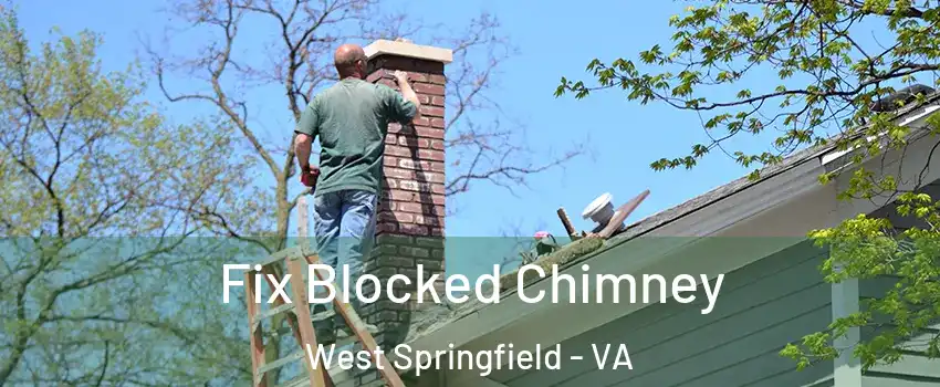  Fix Blocked Chimney West Springfield - VA
