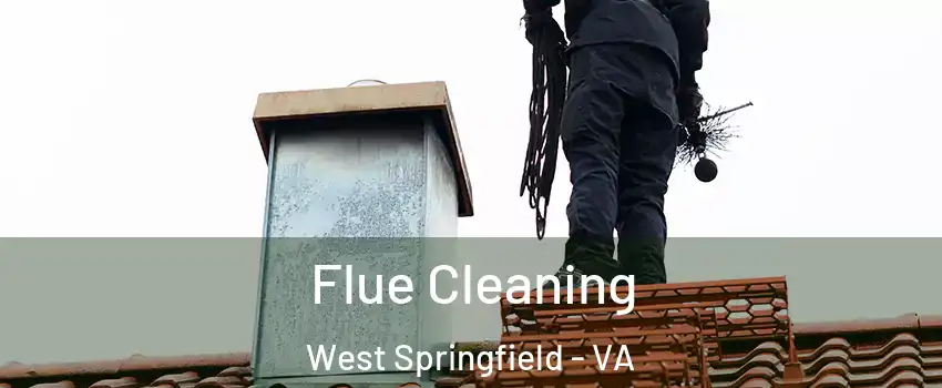  Flue Cleaning West Springfield - VA