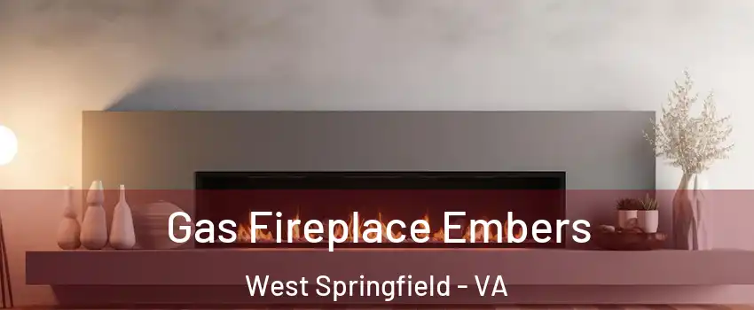  Gas Fireplace Embers West Springfield - VA
