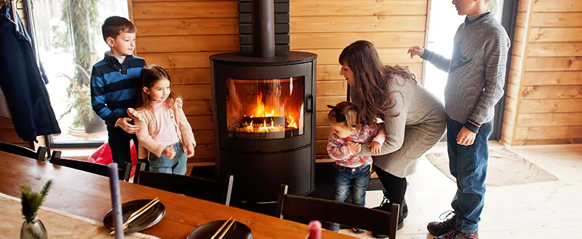 Jøtul Gas Fireplace Inspection Service in West Springfield, Virginia