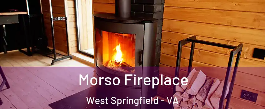  Morso Fireplace West Springfield - VA