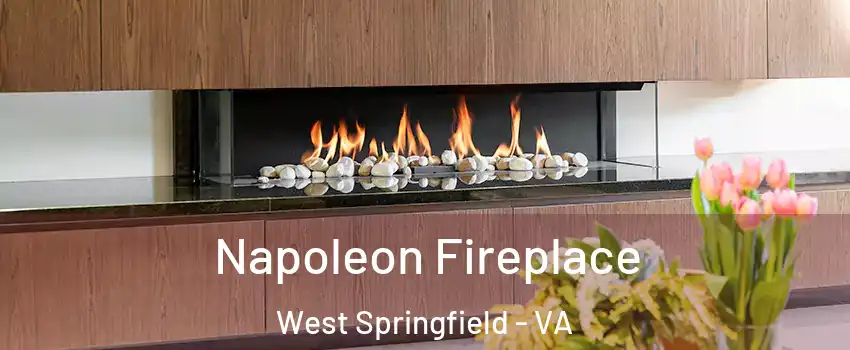  Napoleon Fireplace West Springfield - VA