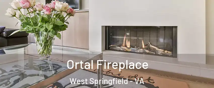  Ortal Fireplace West Springfield - VA