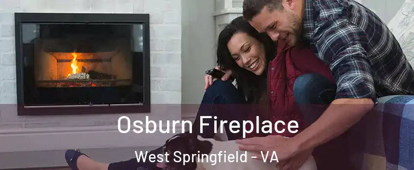  Osburn Fireplace West Springfield - VA