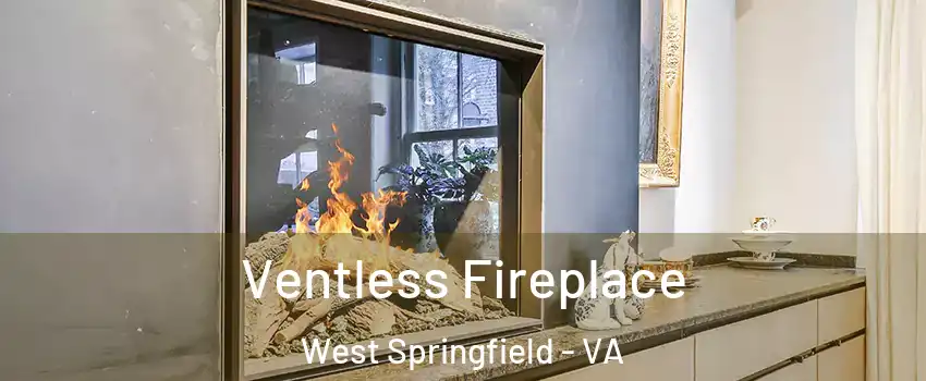  Ventless Fireplace West Springfield - VA